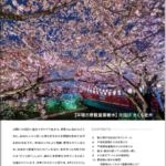 The Shonan3月 2025年 307号
