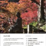 The Shonan 11月 2024年 305号
