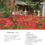 The Shonan 9 2022 292号
