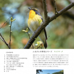 The SHONAN7 2019 273号