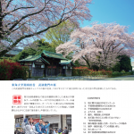 The SHONAN3 2019 271号